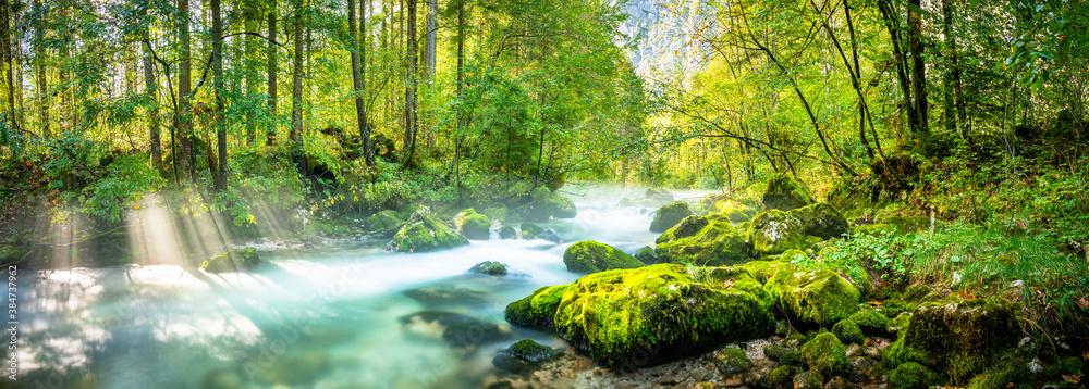 Obraz premium Schöner Bach Wald Panorama Sonnenstrahlen in Österreich Landschaft Natur Moos Fluss Fels Hallstatt Berg Alpen / Beautiful Brook Panorama Sunbeams in Austria Landscape Nature Moss River Rock Stone 