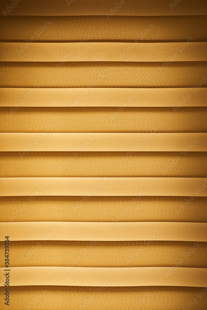 Obraz premium Zebra roller blinds on window