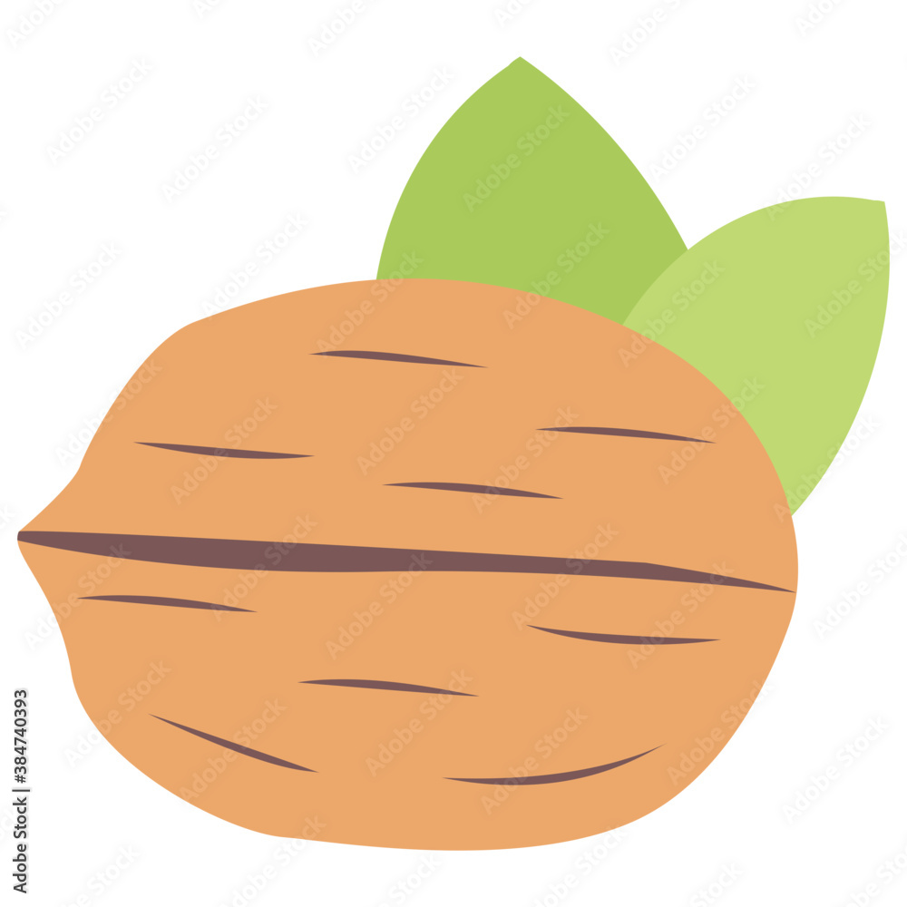 Chestnut, a healthy fruit for eating
Chestnut, a healthy fruit for eating