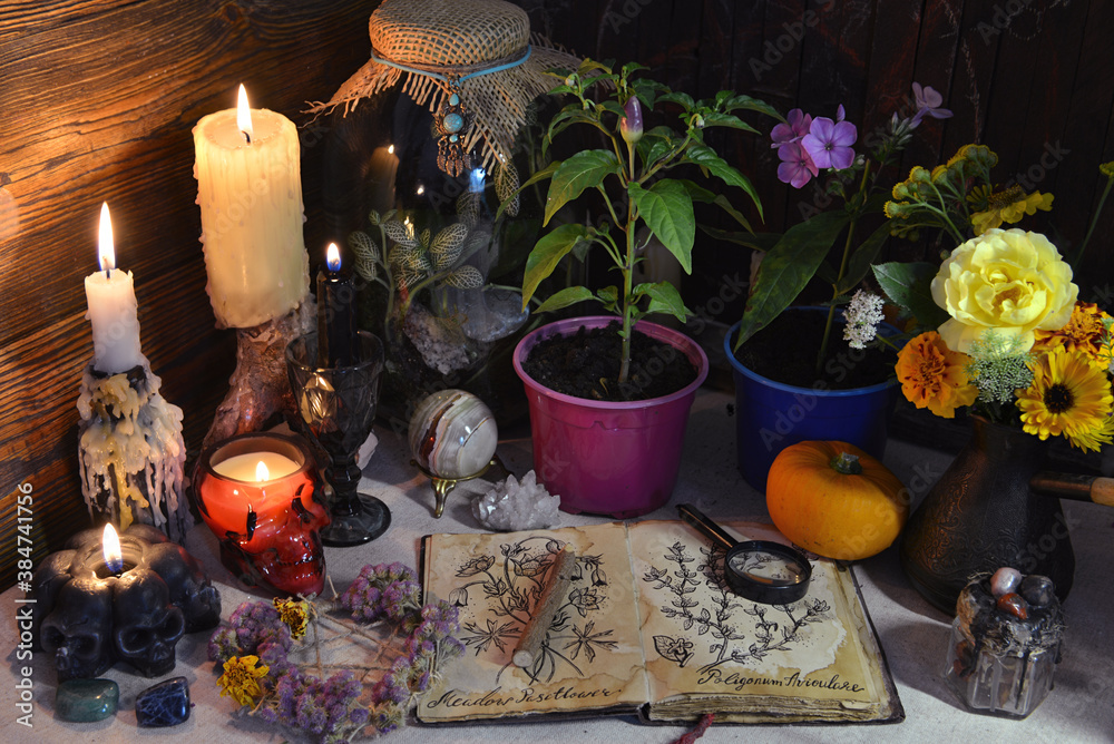 Fototapeta premium Mysterious still life with open diary book with botanical drawing, pepper plant in pot and candles on witch table