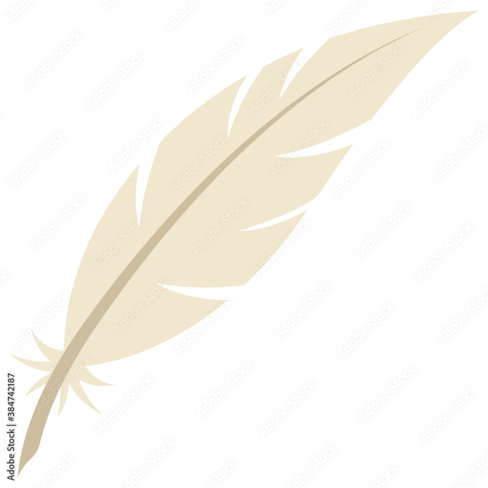 A bird feather used for writing in old ages known as quill
A bird feather used for writing in old ages known as quill