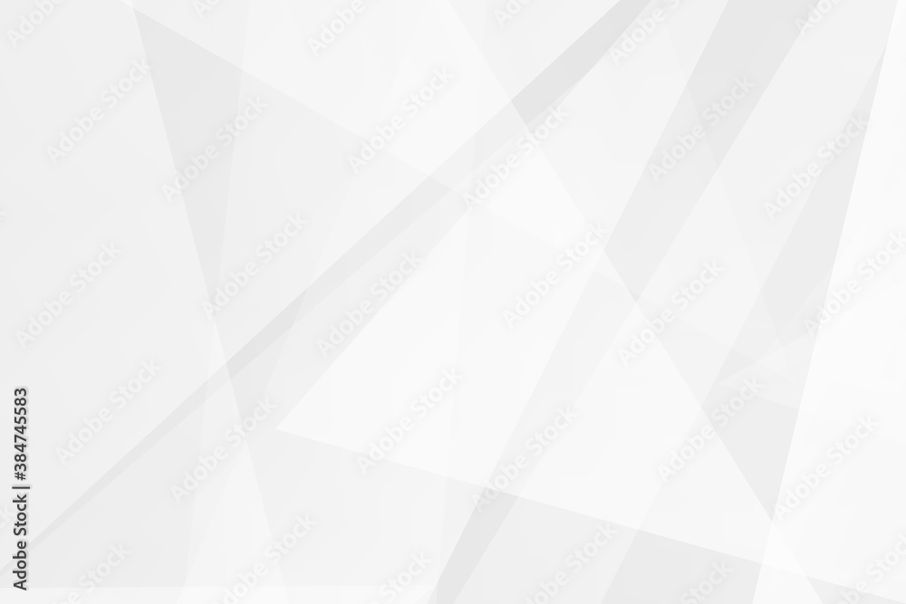 Fototapeta premium Abstract white and grey on light silver background modern design. Vector illustration EPS 10.