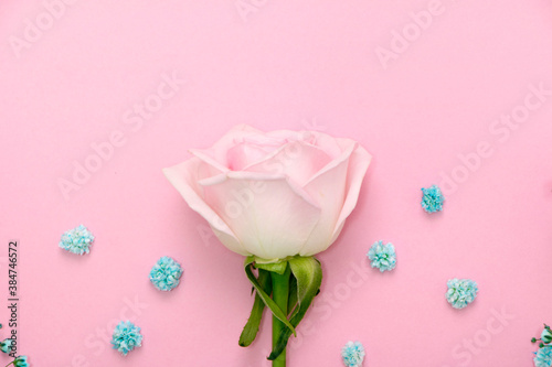 beautiful roses on the Romantic pink background 