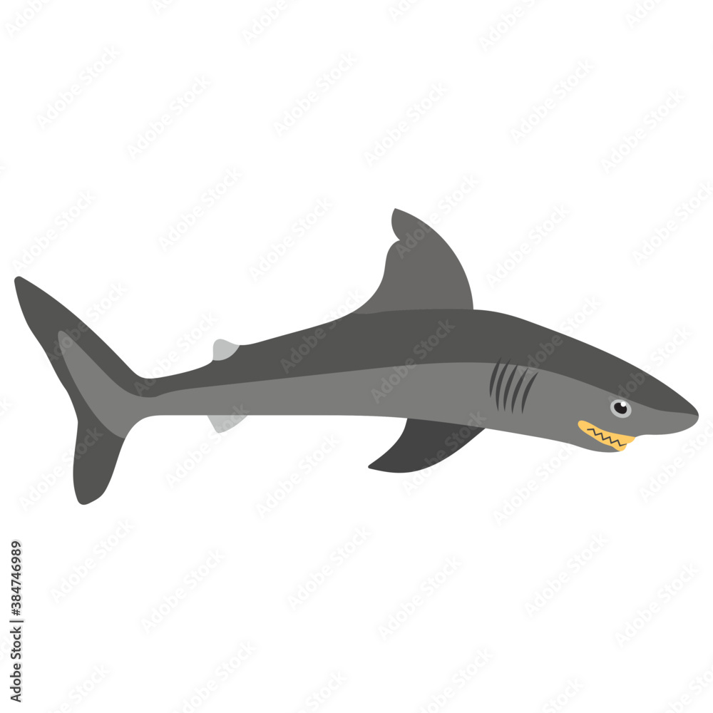 A human friendly fish, dolphin
A human friendly fish, dolphin