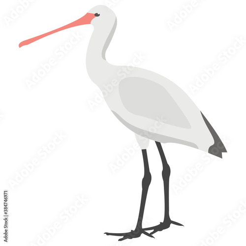  A bird with long legs called white stork  