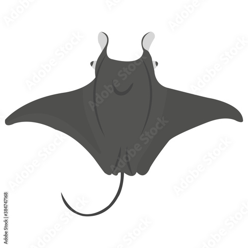 
The manta ray is a large species of flattened fish 
 photo