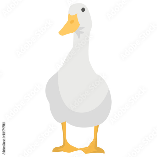 
A waterbird with a broad blunt bill, 
