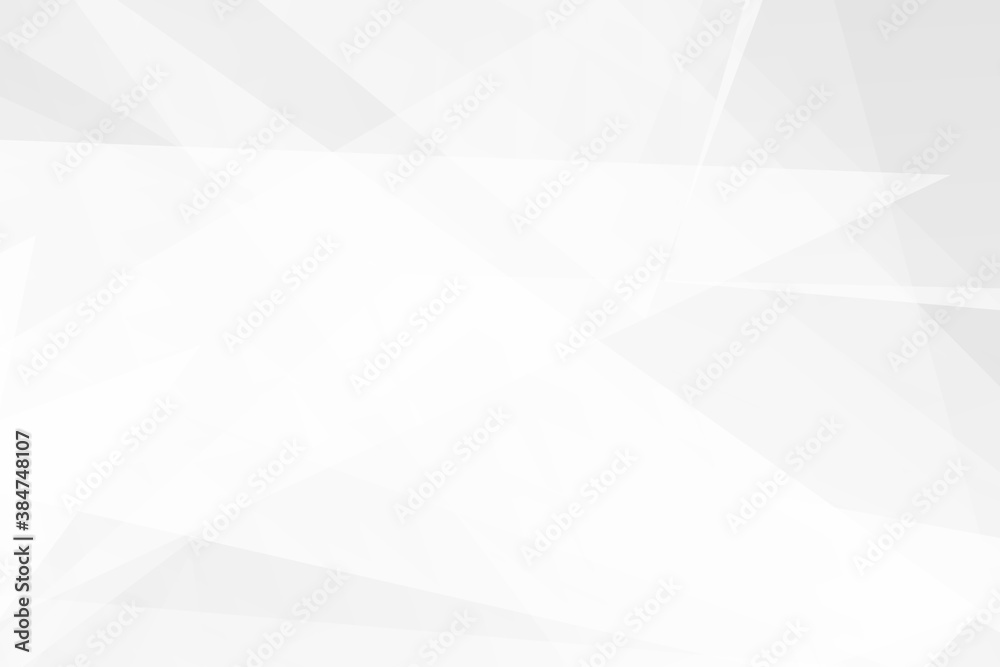 Fototapeta premium Abstract white and grey on light silver background modern design. Vector illustration EPS 10.