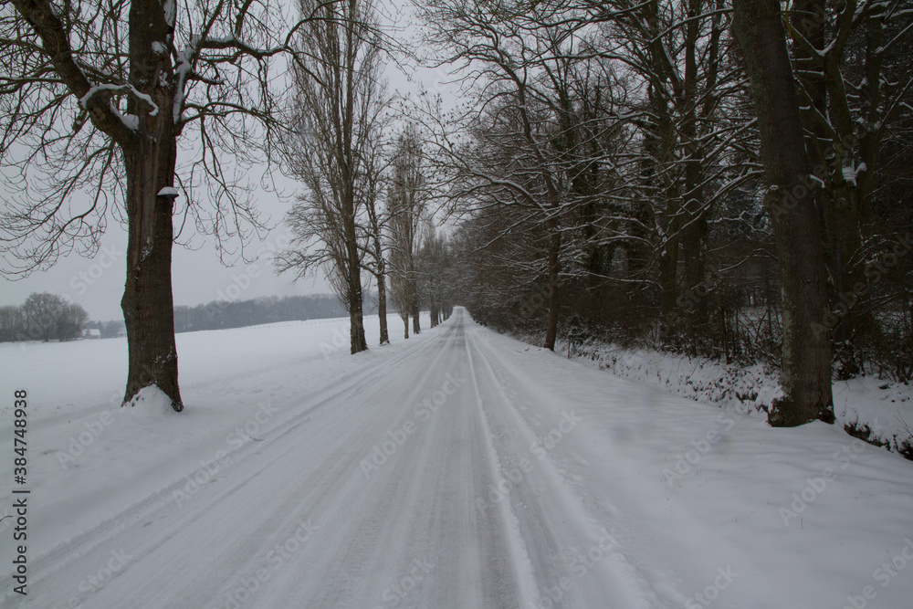 Obraz premium Road in the winter
