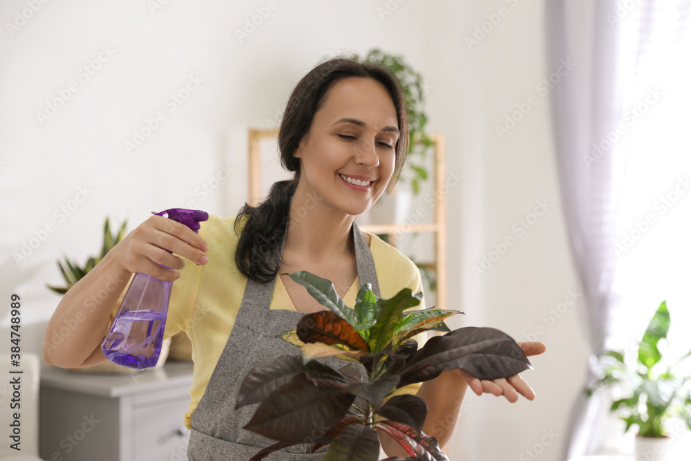 Mature woman spraying houseplant at home. Engaging hobby Mature woman spraying houseplant at home. Engaging hobby