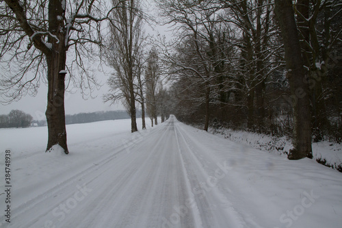 Road in the winter