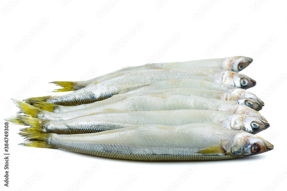 Few fresh raw european smelt fishes isolated on white background Few fresh raw european smelt fishes isolated on white background