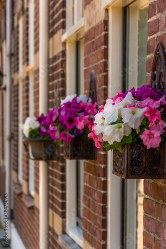 Decorative flowers hanged on the front of a house in Volendam  Netherlands