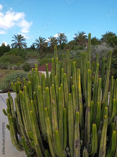 jardi botanic barcelona