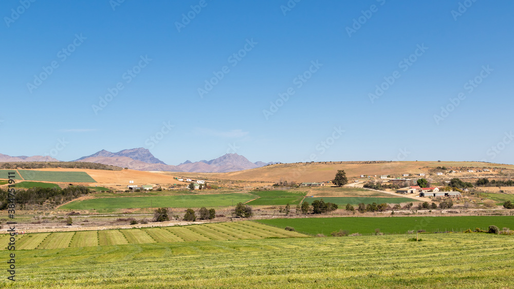 Fototapeta premium Green cultivated farmland with mountains in the background and a clear blue sky