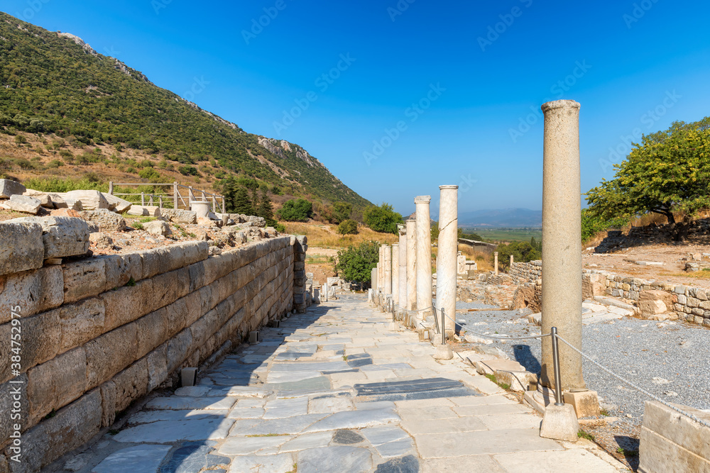 Marble road in ruins of antique Ephesus city on a sunny day, Turkey