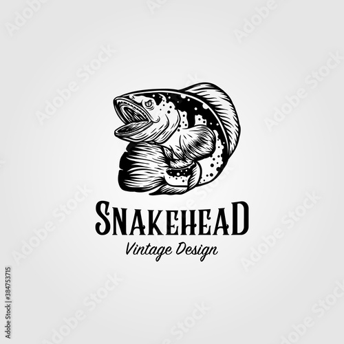 channa snakehead fish vintage logo vector illustration design