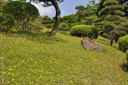 初夏の酒田・本間美術館　庭園 photo