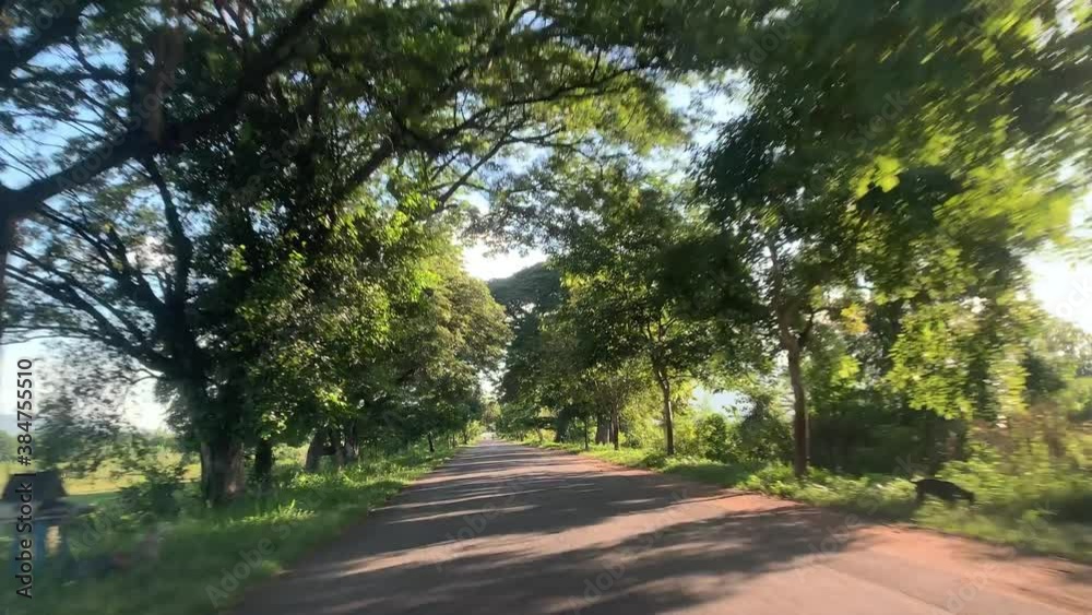 View from the car driving on the empty road in natural rural area surrounded with tress, travel and adventure concept View from the car driving on the empty road in natural rural area surrounded with tress, travel and adventure concept