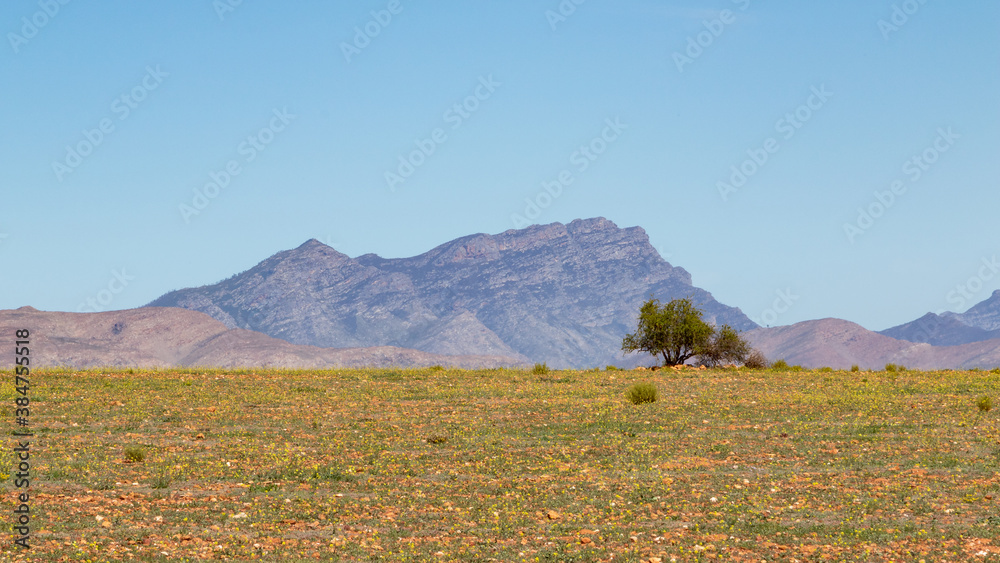 Minimalist landscape with a tilled land, one tree, mountains and a clear blue sky