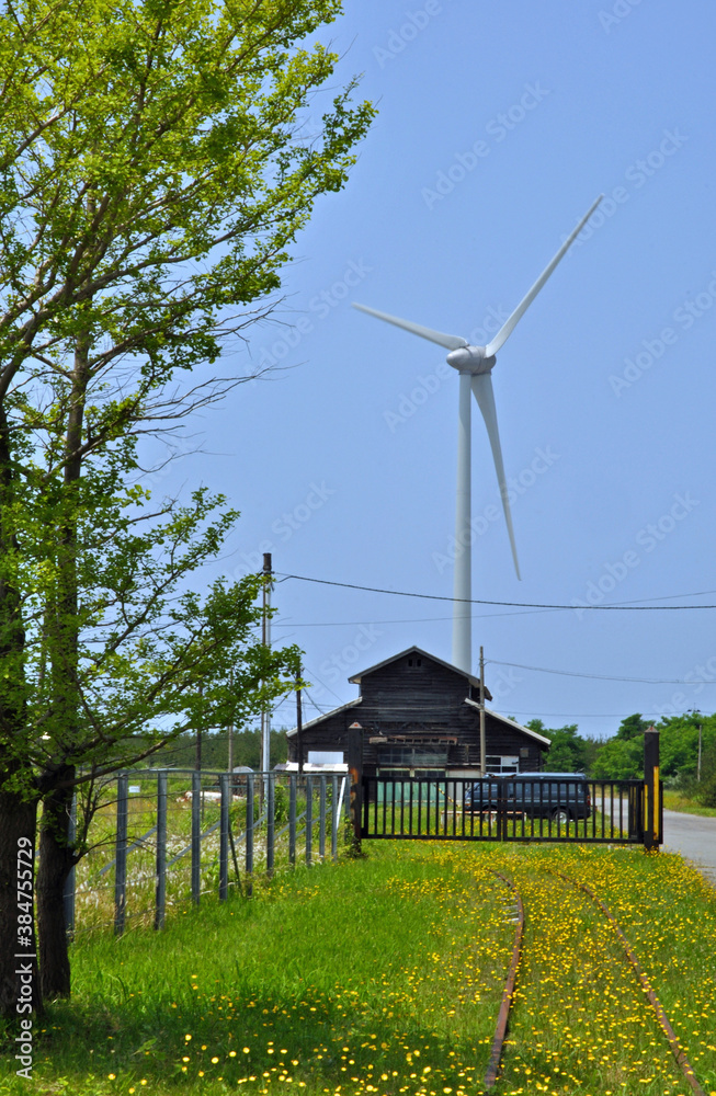 Fototapeta premium 初夏の酒田・風車のある風景