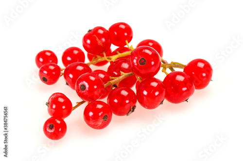 Sweet tasty fresh Red currant