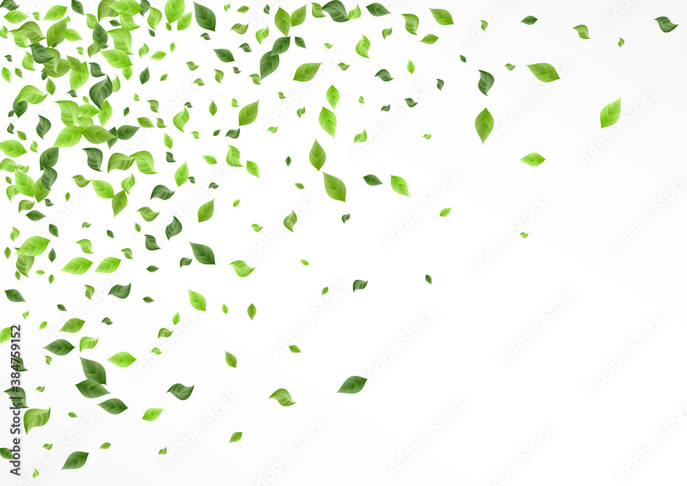 Green Greenery Falling White And Gray Background 