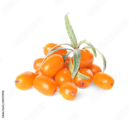 Fresh ripe sea buckthorn berries with leaves on white background