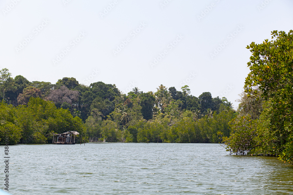 A wooden thatched house stands on stilts in the middle of a river in a tropical forest. A wooden thatched house stands on stilts in the middle of a river in a tropical forest.