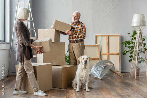 full length view of senior couple holding cardboard boxes in new house while dog sitting near © LIGHTFIELD STUDIOS
