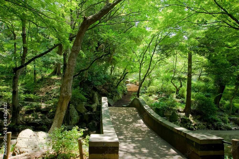 Obraz premium 有栖川公園