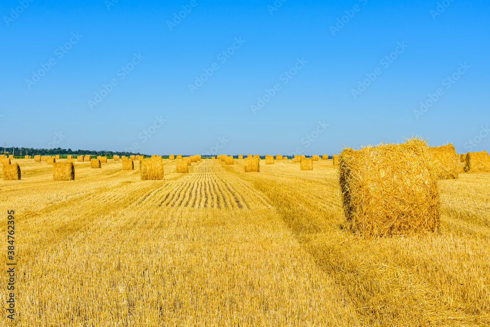 Rolled bales of straw at the agricultural field. Agricultural concept