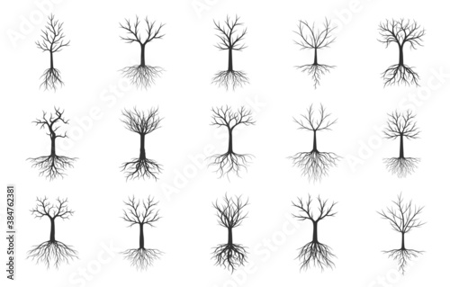 Set Naked Trees with Roots. Vector outline Illustration. Plant in Garden.