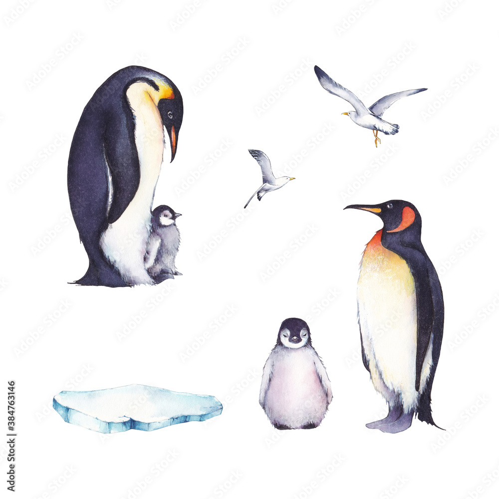 Fototapeta premium Set of watercolor illustrations: a family of penguins, gulls and ice floes. It's perfect for winter design
