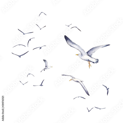 Watercolor illustration of a flock of gulls in the sky