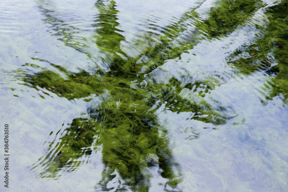 Obraz premium バリ様式の装飾と苔むした石像