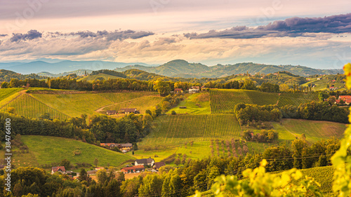 Fototapeta Naklejka Na Ścianę i Meble -  South styria vineyards landscape, near Gamlitz, Austria, Eckberg, Europe. Grape hills view from wine road in autumn