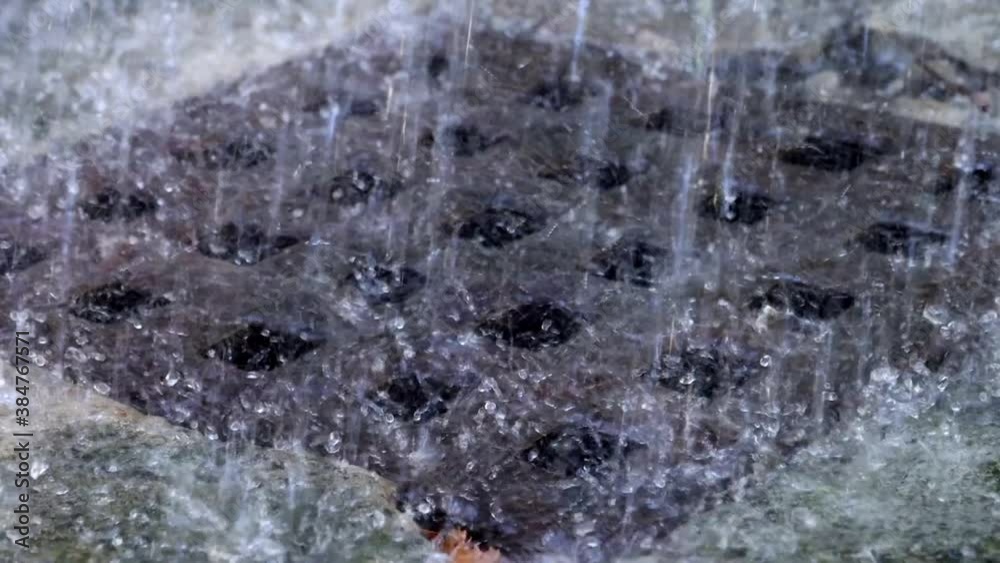 Heavy rain is raining on the sewer grille, close up. Water drops fall on a canal on the street, slow motion. Heavy rain is raining on the sewer grille, close up. Water drops fall on a canal on the street, slow motion.