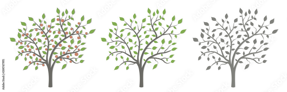 Tree with green leaves and red fruit in three versions on a white background Tree with green leaves and red fruit in three versions on a white background