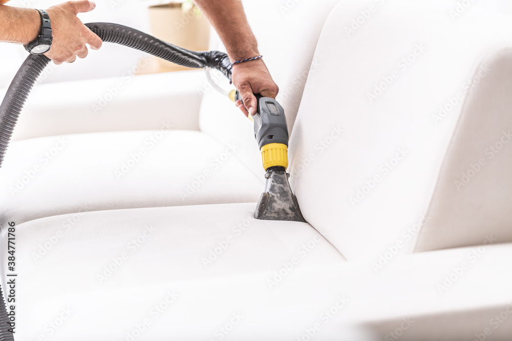 Professional sofa and couch cleaning service
