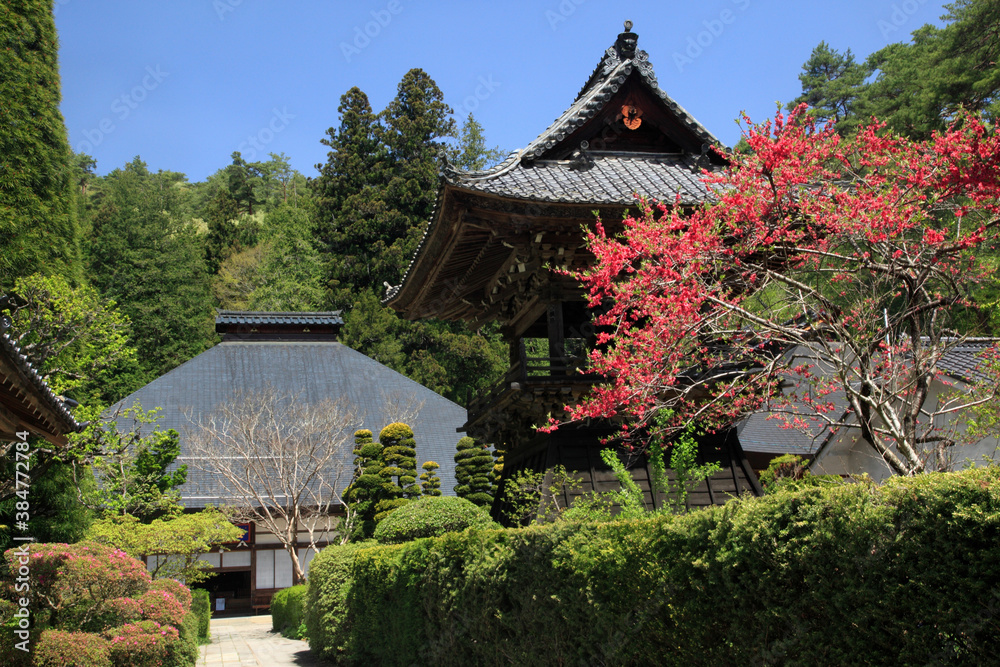 Fototapeta premium 安楽寺 本堂