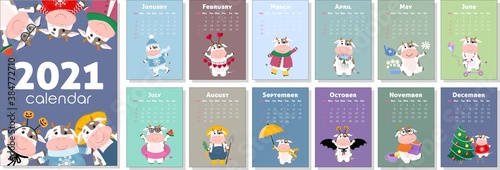 Vector calendar 2021 with symbol of new year. Cute bull or cow, in different seasons, doing hobbies. Set of 12 isolated months and cover. A4 format for print. Week starts from Sunday. 