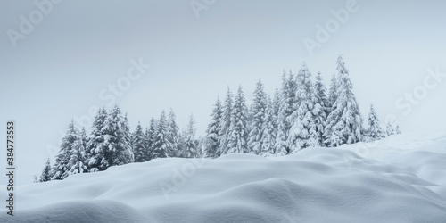 Winterpanorama mit Winterlandschaft und Wald © by paul