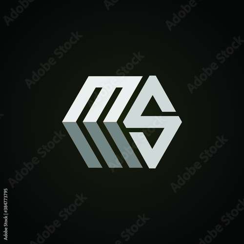 MS box shape initial logo design vector 