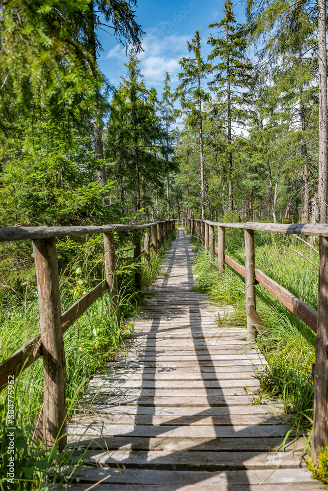 Fototapeta premium Góry Stołowe, Park Narodowy w Kudowa-Zdroj, Polska. Popularne miejsce wycieczek w Polsce
