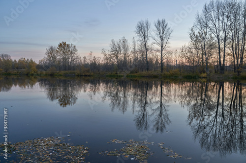 Autumn view of the lake, in the forest with Golden leaves . Autumn time in the forest. Autumn.