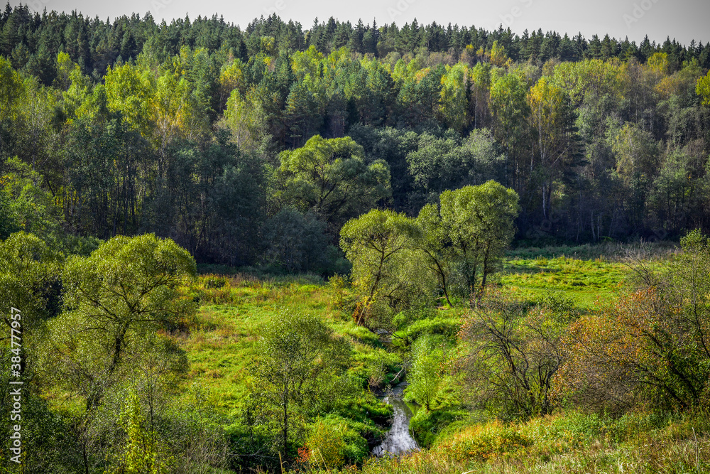 Obraz premium View of the green forest and river from a height.