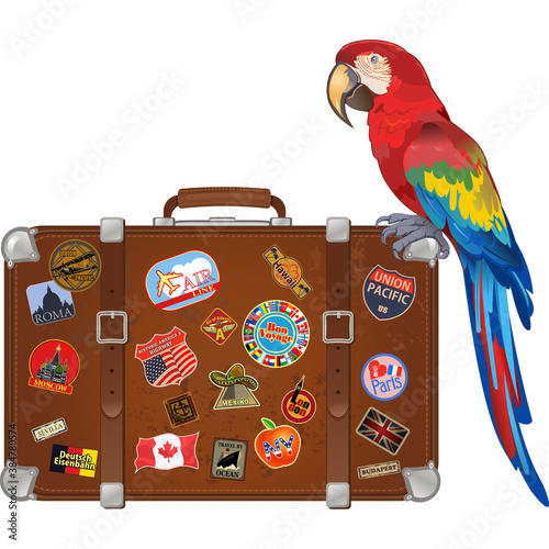 Travel suitcase and Red parrot macaw