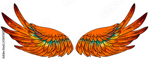 Beautiful magic fiery phoenix shiny vector wings