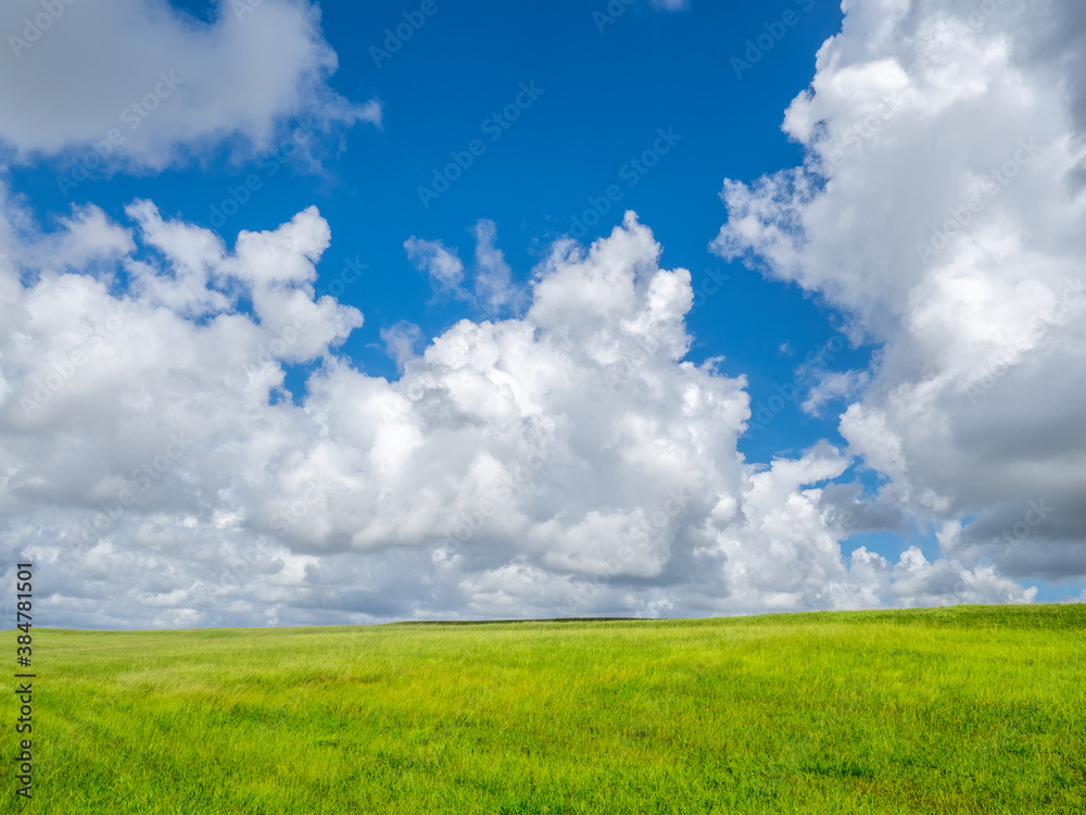Blue sky with big white clouds filling most of sky overgreen field in southwest Florida Blue sky with big white clouds filling most of sky overgreen field in southwest Florida